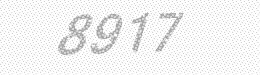 Visual security code — type the characters shown in the image